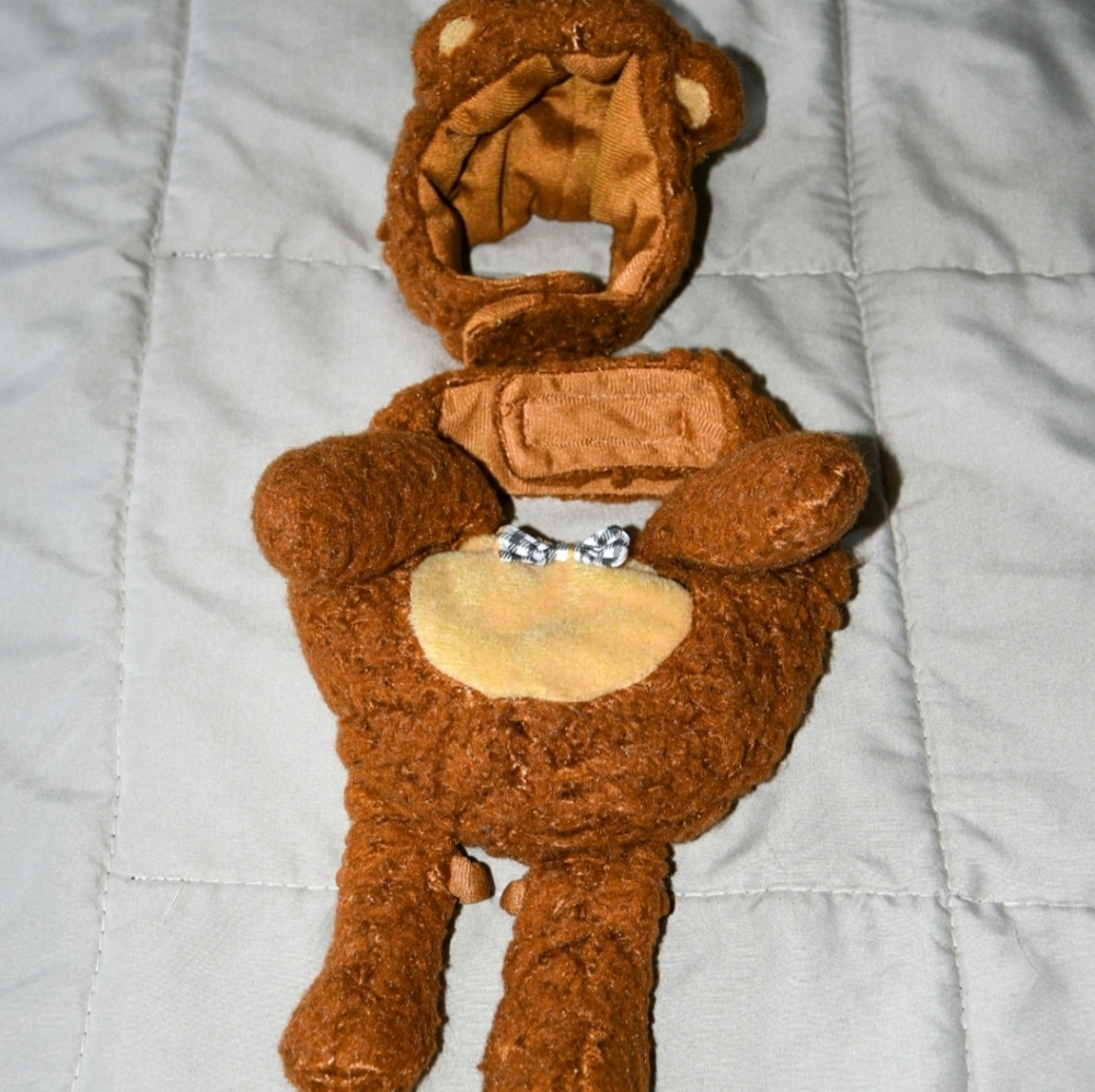 Cute Teddy Bear Costume